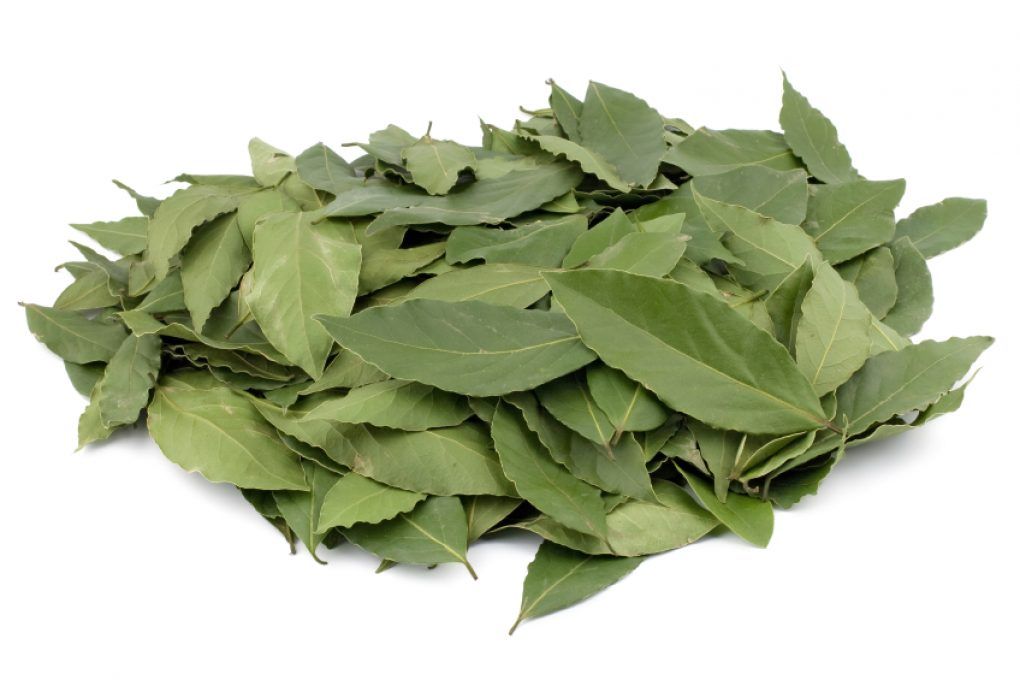 Geben Sie 4 Lorbeerblätter in kochendes Wasser, und Ihr Leben wird sich verändern. Selbst Ärzte wenden diese Methode an. Dieser Trick funktioniert im Herbst und Winter.