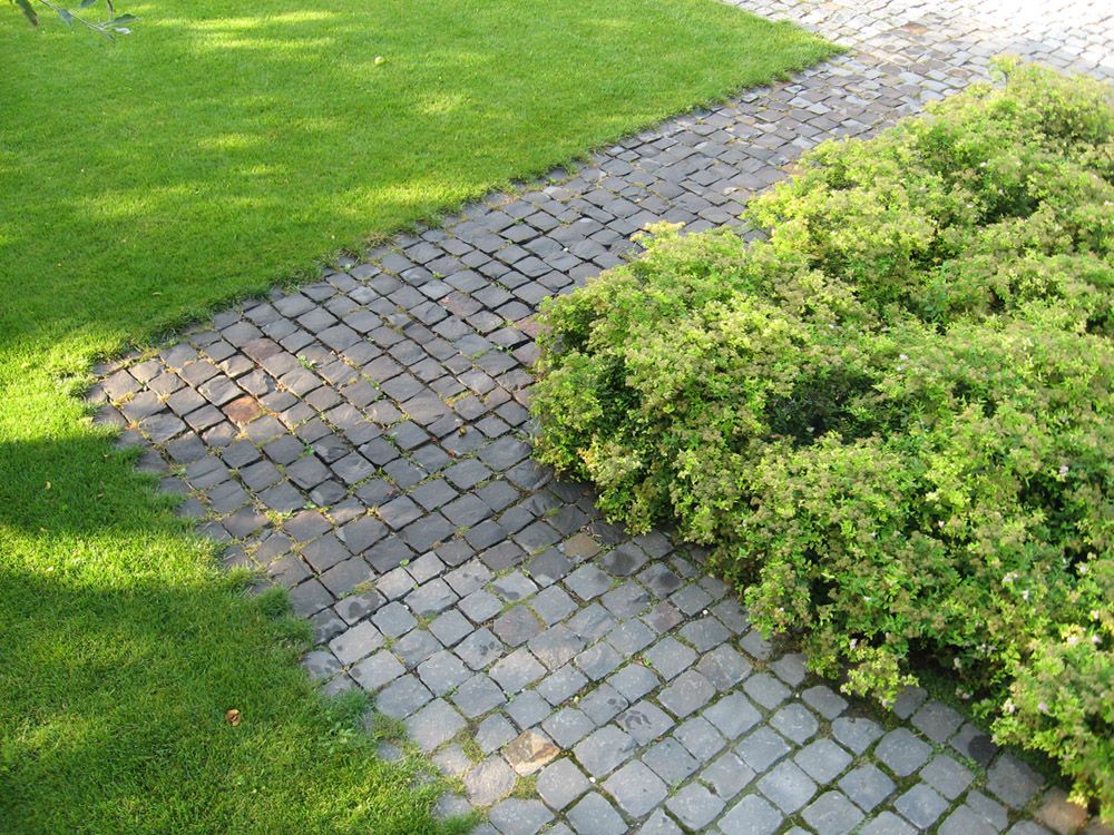 Ich habe das Moos auf den Pflastersteinen schnell entfernt. Mein Nachbar hat mir erklärt, wie das geht.