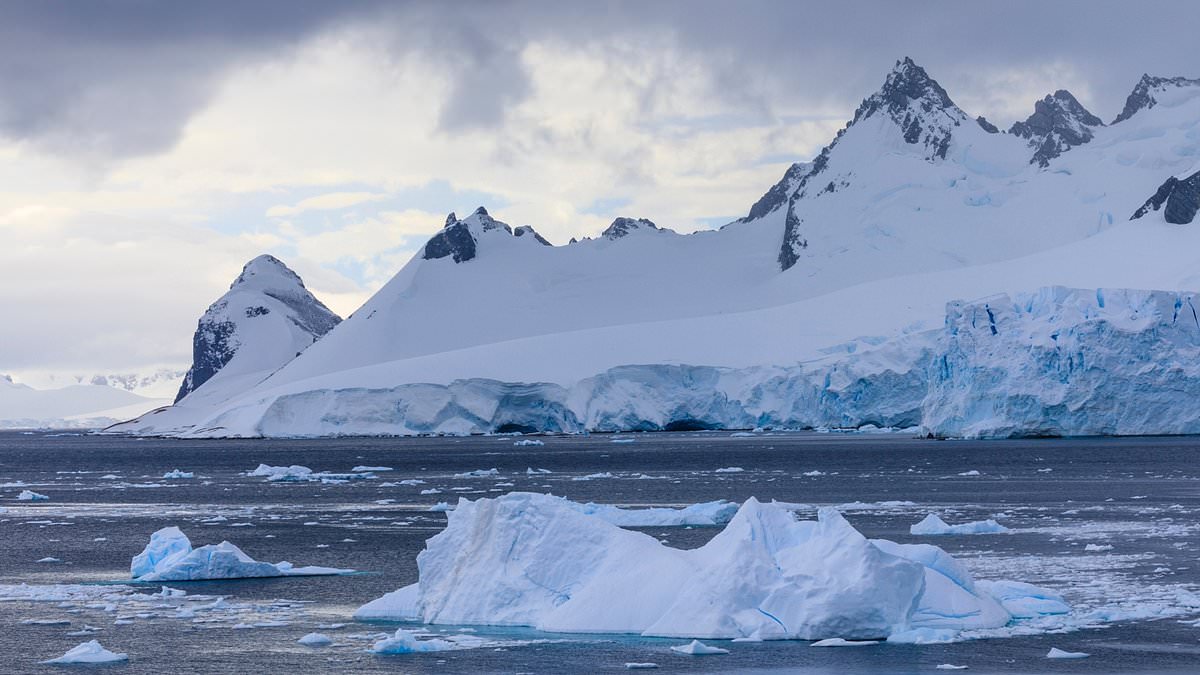 Maximale Spannung unter Biologen nach zufälliger Entdeckung Tausender Nester unter dem Eis der Antarktis