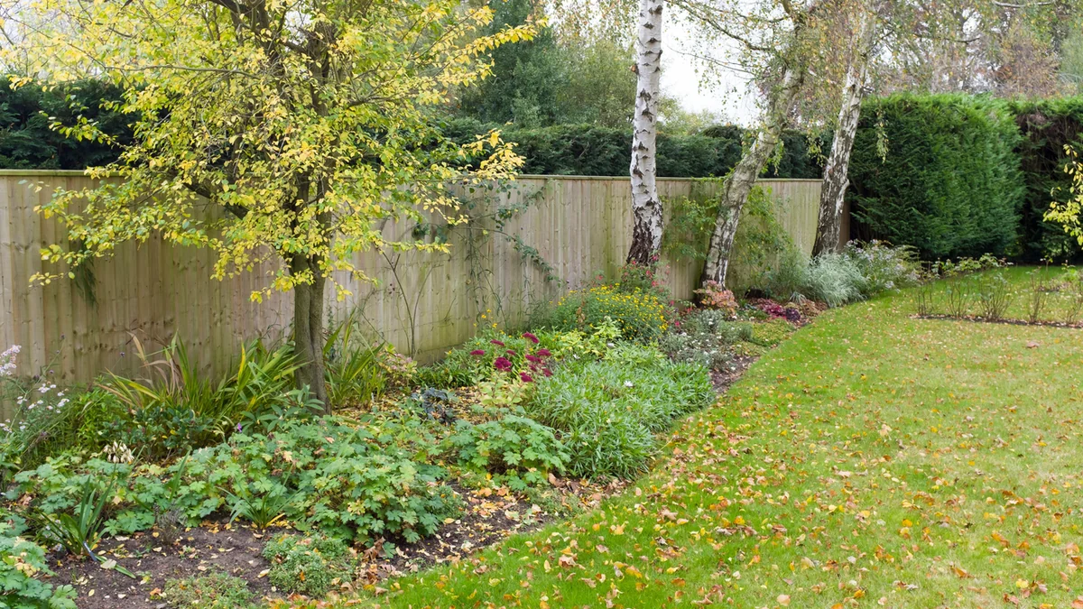 Wiederholen Sie diesen Fehler nicht im Oktober. Das Gras bleibt den ganzen Winter über dicht und gesund