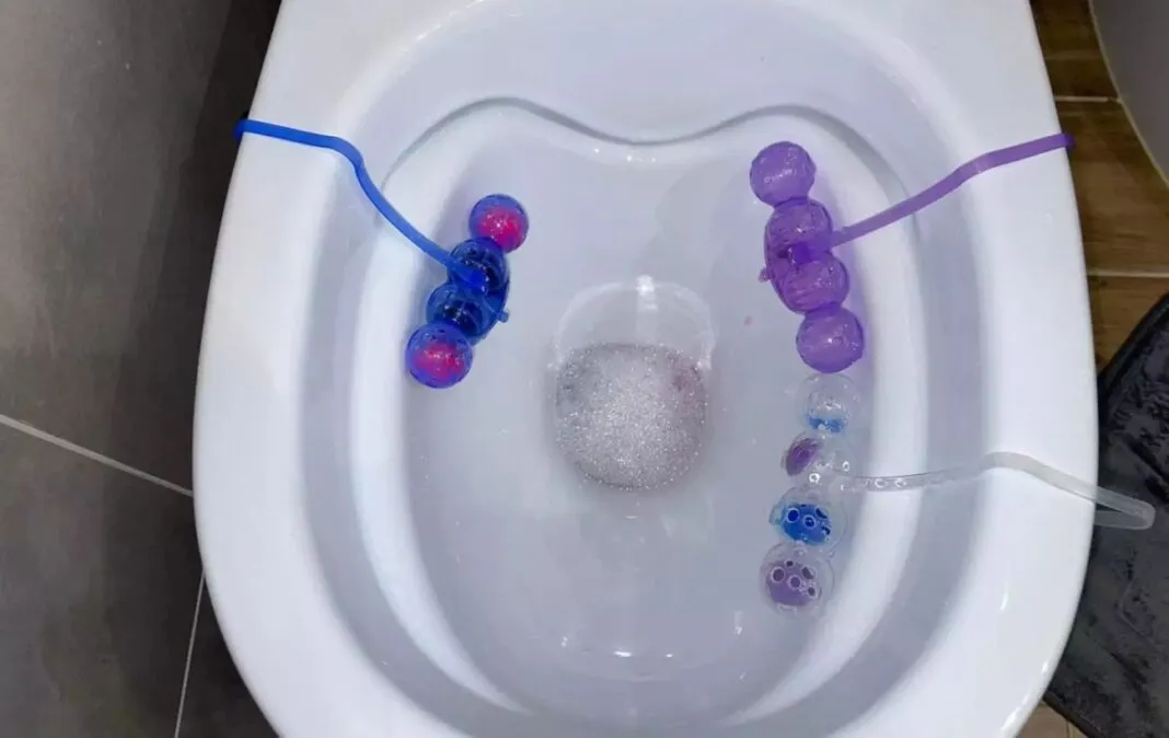 Vor der Arbeit habe ich eine „Sache” in den Spülkasten geworfen – als ich zurückkam, stellte ich fest, dass er schneeweiß war: ein einfaches Geheimnis.