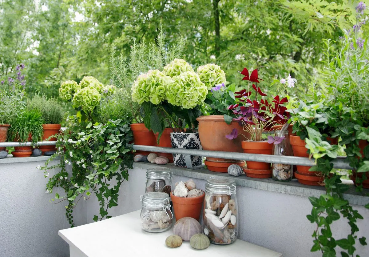 Vergessen Sie nicht, Ihre Balkonpflanzen für den Winter abzudecken. Sonst werden sie nicht überleben.