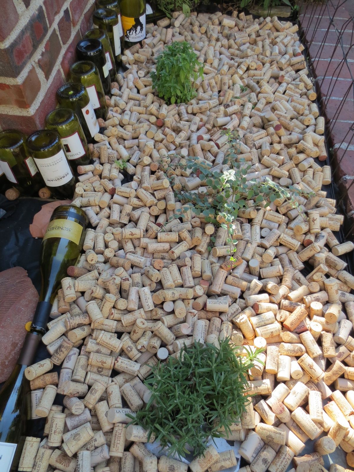 Warum es empfohlen wird, dem Boden von Pflanzen Korken hinzuzufügen