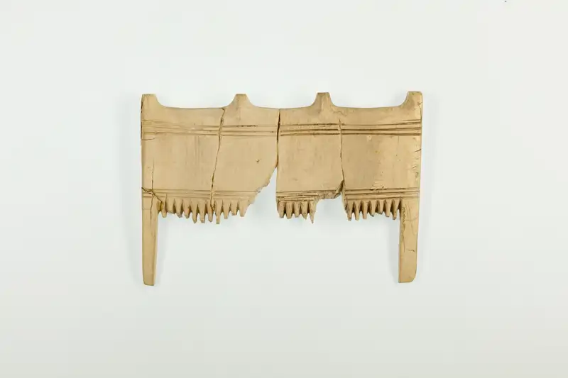 Untersuchungen zeigen, dass Elfenbein in der südlichen Levante, das von in Afrika getöteten Elefanten stammte, über den nubischen Handel und nicht aus Ägypten eingeführt wurde