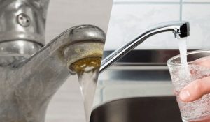 Warum man Lorbeerblätter und Backpulver mischen sollte und wozu das gut ist