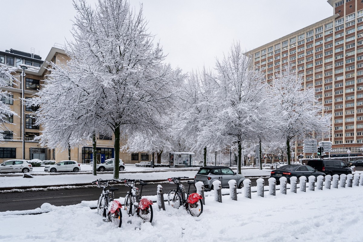 Schnee im November: 100-jähriger Kalender nennt konkreten Termin für winterliche Überraschung
